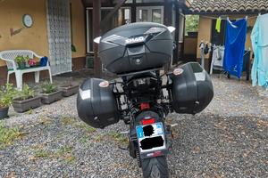 Tris borse SHAD + telai 3P per MT 09 2017-2020