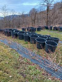 vasi/mastelli 90 litri