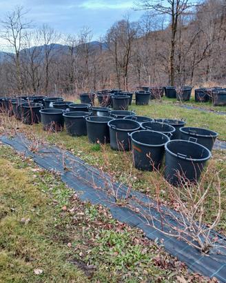 vasi/mastelli 90 litri