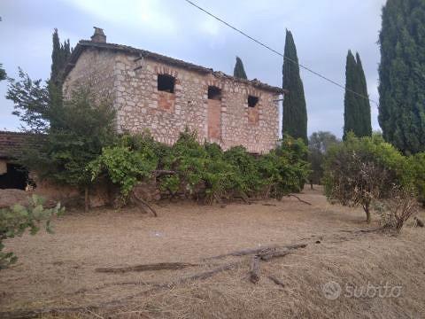 Casolare con terreno agricolo - Vista 3