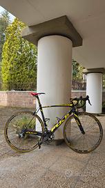 Fuji Altamira carbonio – Shimano Ultegra – ruote M