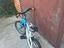 Immagine 2