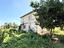 Immagine 29