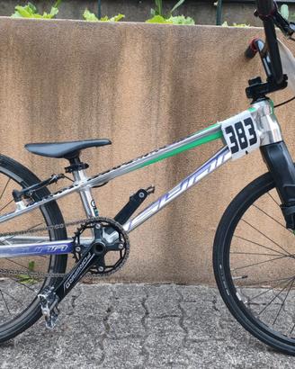BMX Race