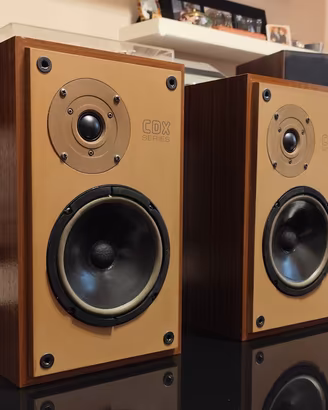 Diffusori altoparlanti  ESB CDX
