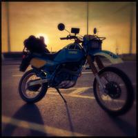 Yamaha XT 600 Z Ténéré (34L) - 1985 - Blue Sonauto