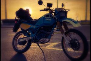 Yamaha XT 600 Z Ténéré (34L) - 1985 - Blue Sonauto