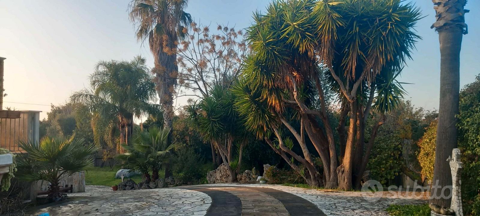 Casa – Capaccio, Spinazzo/Varco Cilentano - Vista 5