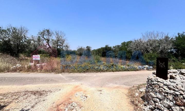 Podere agricolo in agro di Spongano (Le)