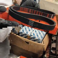 Cinta motore Alfa Romeo Alfa 164 2.0 ts con clima