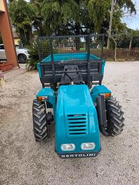 motoagricola bertolini cerruti TA2025 