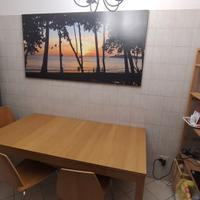 Tavolo Bjursta Ikea allungabile 175/230x95 pranzo