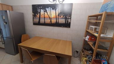 Tavolo Bjursta Ikea allungabile 175/230x95 pranzo