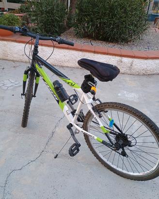 bicicletta