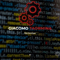Web Developer, Esperto informatico, Programmatore