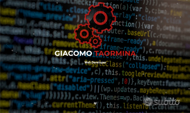 Web Developer, Esperto informatico, Programmatore