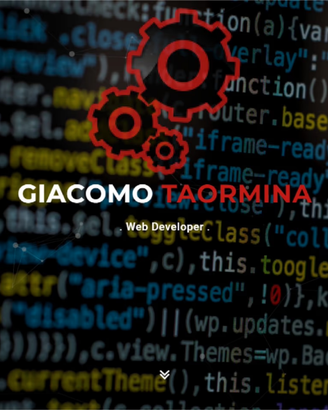 Web Developer, Esperto informatico, Programmatore