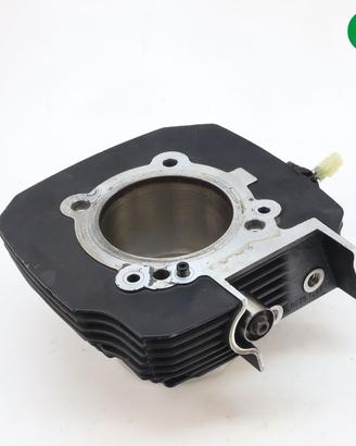 Cilindro verticale DUCATI Monster 696