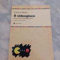 Il videogioco di Lorenzo Mosna