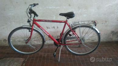 Bicicletta da passeggio