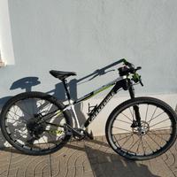 mtb carbonio 29 tg.s