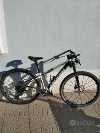 mtb carbonio 29 tg.s