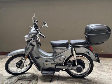 Motorino Motron Cubertino