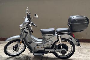 Motorino Motron Cubertino