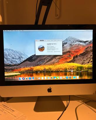 iMac 21.5 mid 2010
