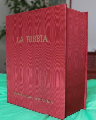 La Sacra Bibbia  edizione pregiata  (179di 200)
