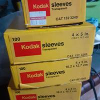 BUSTINE TRASPARENT (