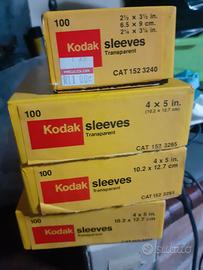 BUSTINE TRASPARENT (