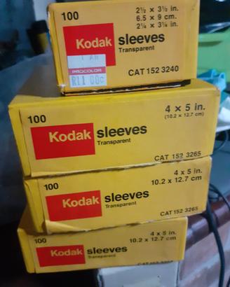 BUSTINE TRASPARENT (