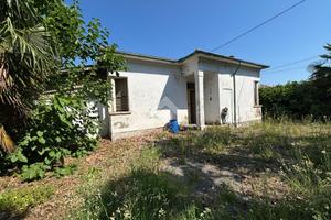 3 LOCALI A ALFONSINE