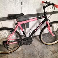 Mountain-bike