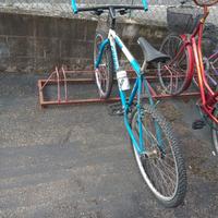 bicicletta Hogan carraro 