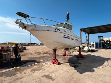 Saver manta 21 fisher