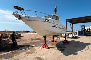 Saver manta 21 fisher