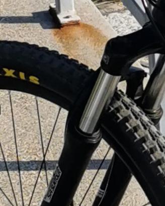 Mtb dtm