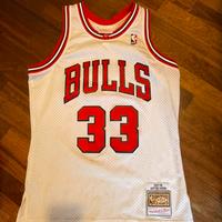 canotta chicago bulls