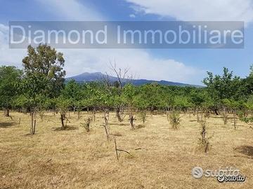 Terreno agricolo pianeggiante a Piedimonte Etneo