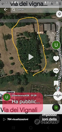 Terreno con nocciole