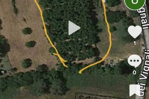 Terreno con nocciole