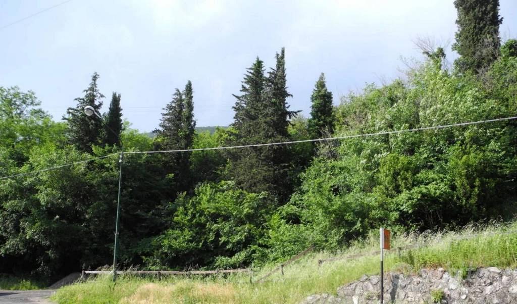 Immobile in asta di 1140 m² a Buti - Altro
