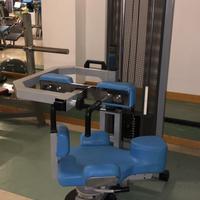 Rotary torso technogym