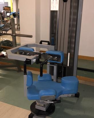 Rotary torso technogym