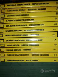 DVD National Geographic Enciclopedia degli Animali