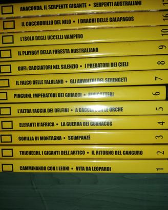 DVD National Geographic Enciclopedia degli Animali