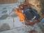 Immagine 6