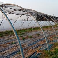 SERRA A TUNNEL 16 MT TUBO 6 CM